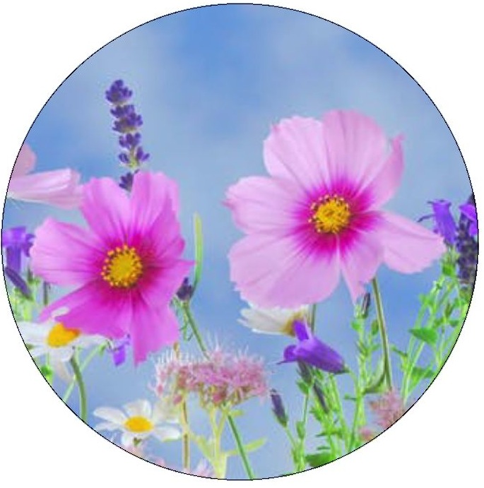 Flower Pinback Buttons and Stickers