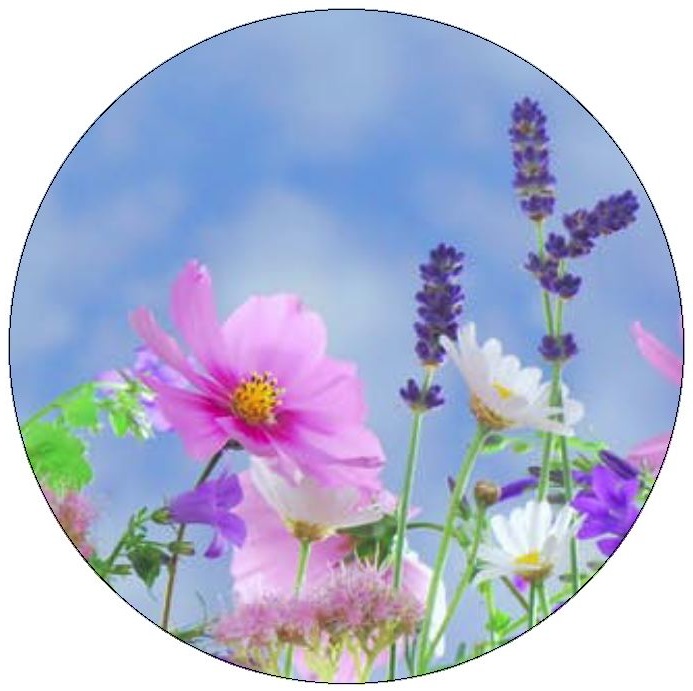 Flower Pinback Buttons and Stickers