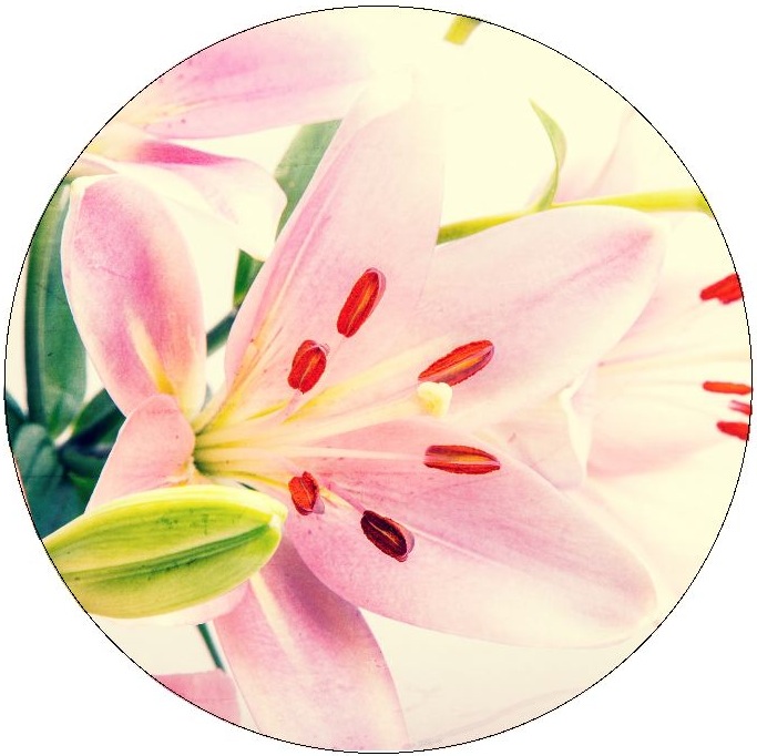 Flower Pinback Buttons and Stickers