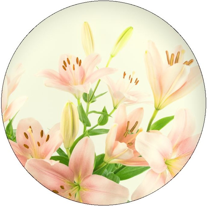 Flower Pinback Buttons and Stickers