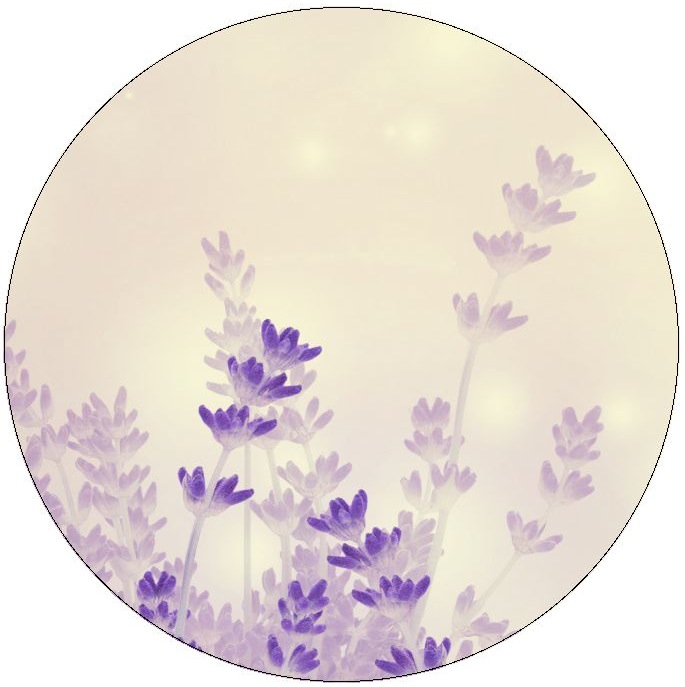 Watercolor Flower Pinback Buttons and Stickers