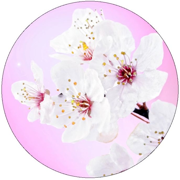 Flower Pinback Buttons and Stickers