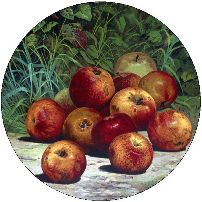 Apple Painting Pinback Buttons and Stickers