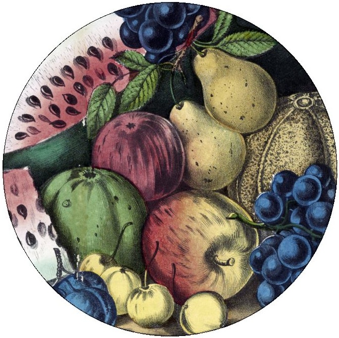 Fruit Painting Pinback Buttons and Stickers