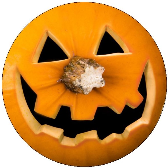 Halloween Pumpkin Pinback Buttons and Stickers