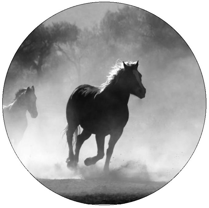 Wild Horse Pinback Buttons and Stickers
