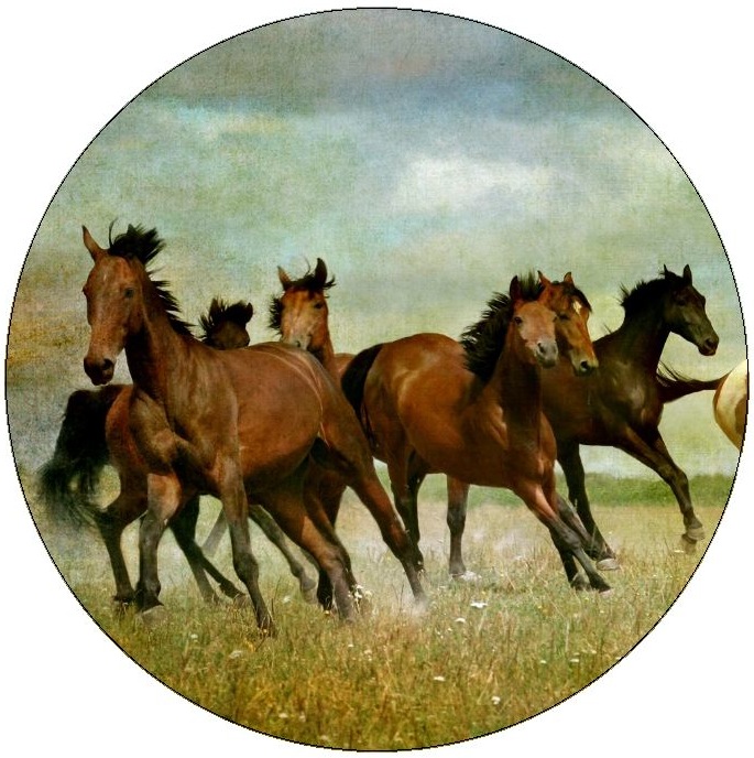 Horse Pinback Buttons and Stickers