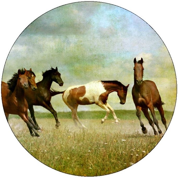 Horse Pinback Buttons and Stickers