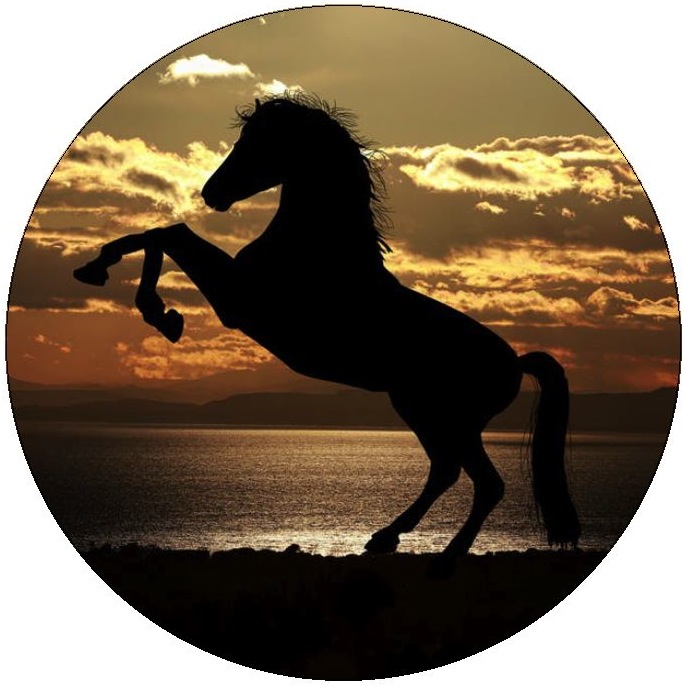 Horse Pinback Buttons and Stickers