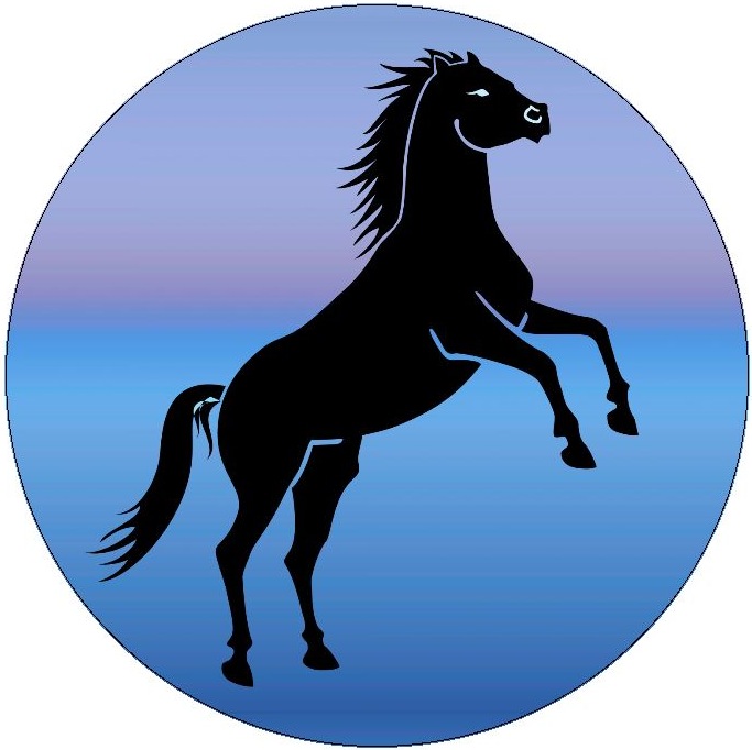 Horse Pinback Buttons and Stickers