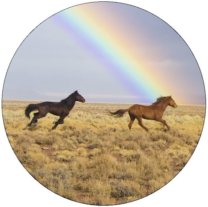 Horse Pinback Buttons and Stickers