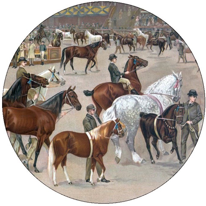 Horse Pinback Buttons and Stickers