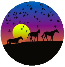 Horse Pinback Buttons and Stickers