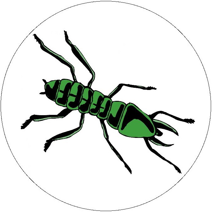 Insect Clip Art Pinback Buttons and Stickers