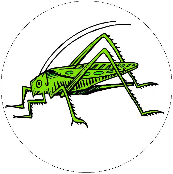 Insect Clip Art Pinback Buttons and Stickers