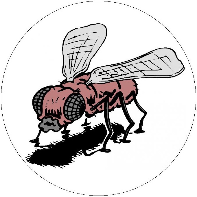 Insect Clip Art Pinback Buttons and Stickers