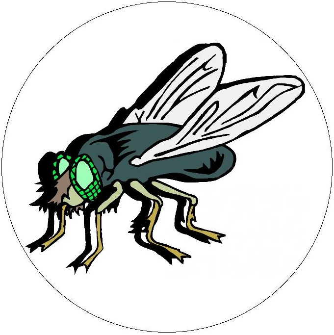 Insect Clip Art Pinback Buttons and Stickers