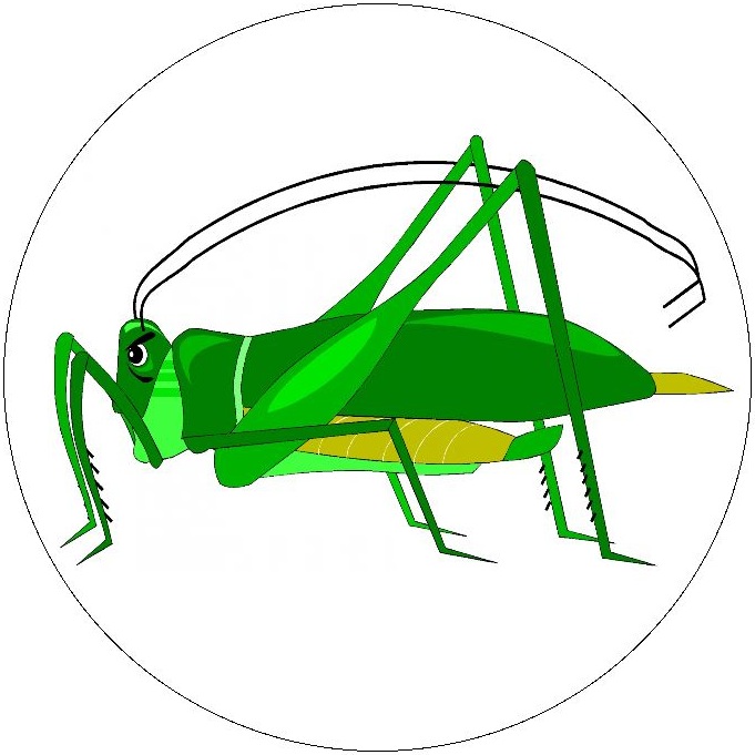 Insect Clip Art Pinback Buttons and Stickers