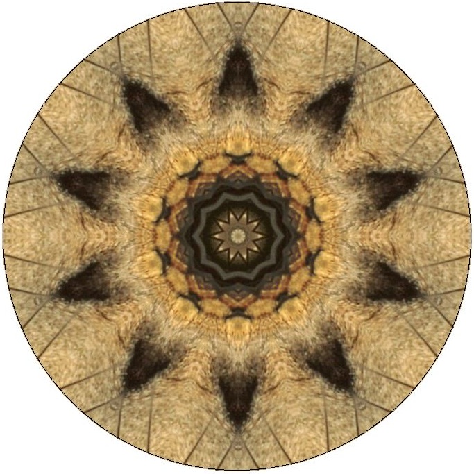Kaleidoscope Pinback Buttons and Sticker