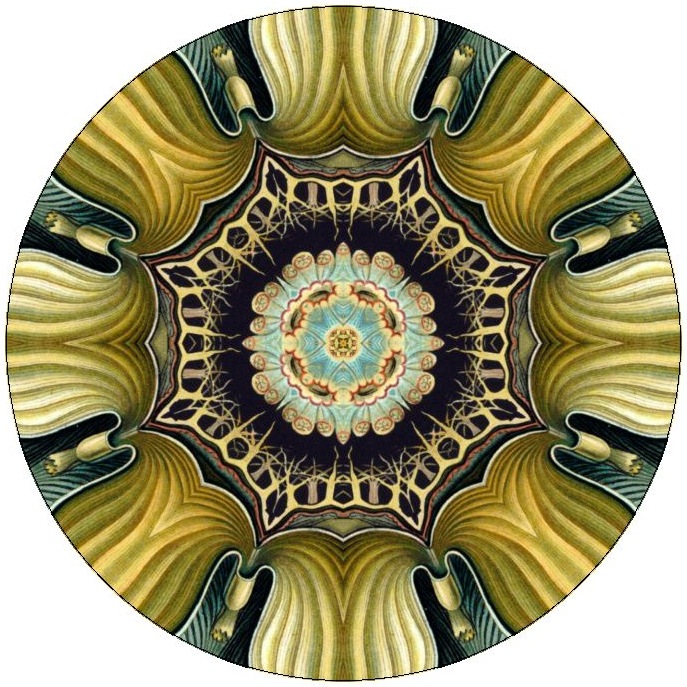Kaleidoscope Pinback Buttons and Sticker