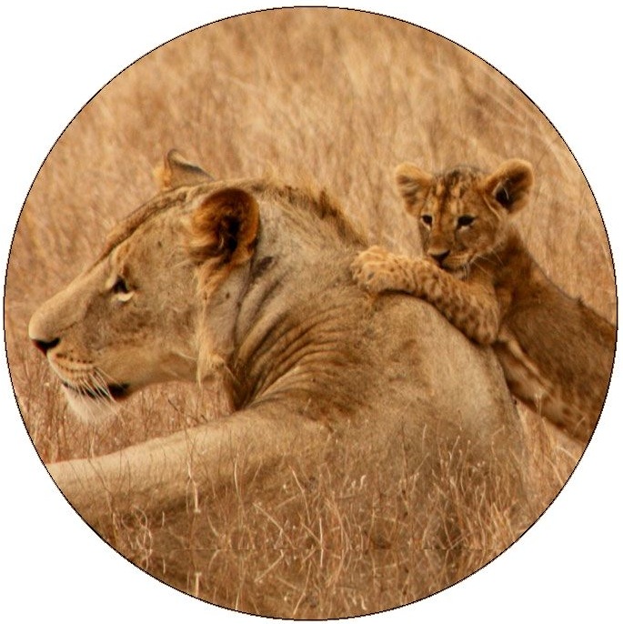 Lion Pinback Buttons and Stickers