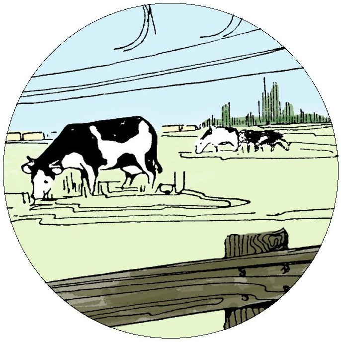 Livestock Pinback Button and Stickers