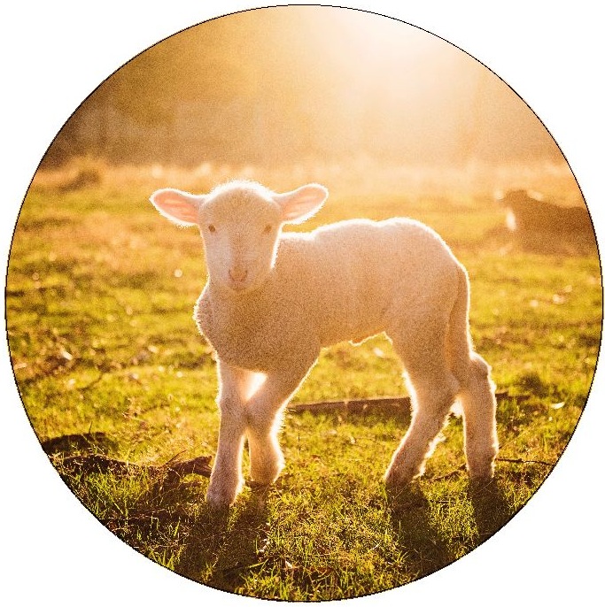 Livestock Pinback Button and Stickers