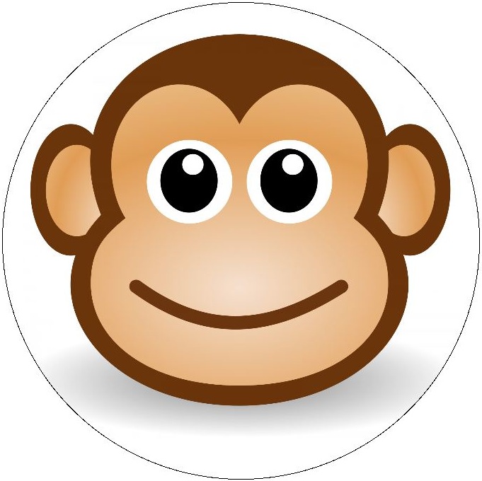 Monkey Photo Pinback Button and Stickers