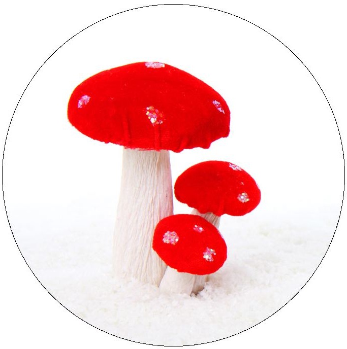 Mushroom Photo Pinback Buttons