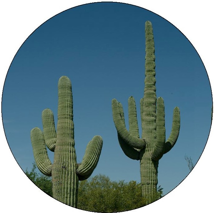 Saguaro National Park Pinback Buttons and Stickers