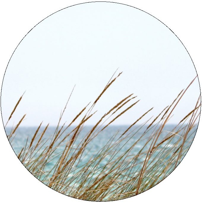 Ocean Pinback Button and Stickers