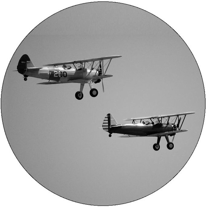 Plane Pinback Button and Sticker