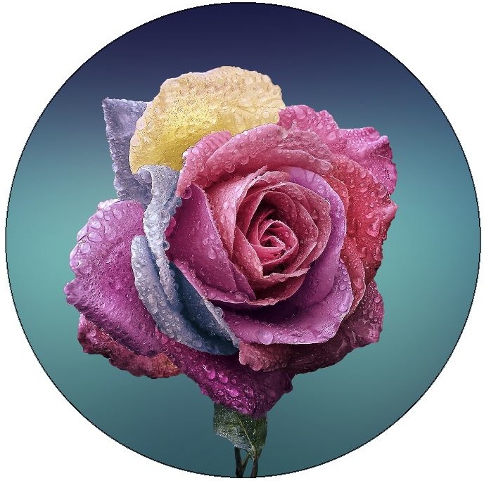 Roses Pinback Buttons and Stickers