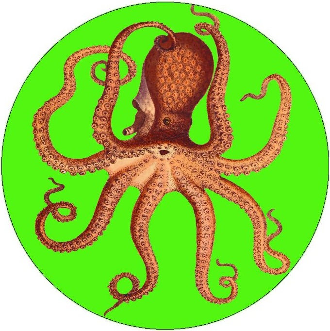 Octopus Pinback Button and Stickers