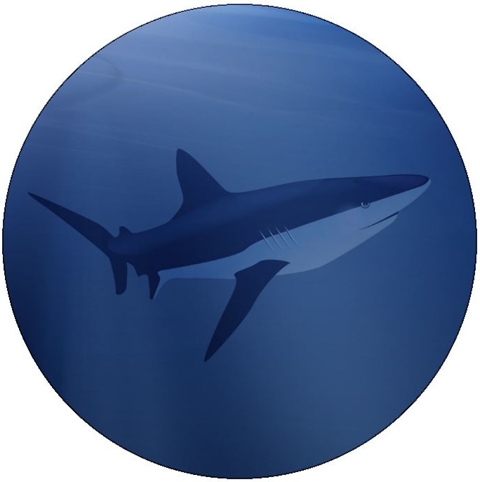 Shark Pinback Button and Stickers