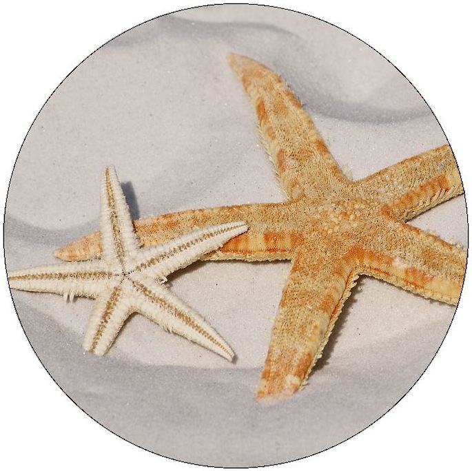 Starfish Pinback Button and Stickers