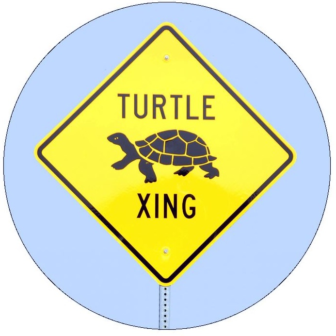 Turtle Crossing Sign Pinback Button and Stickers