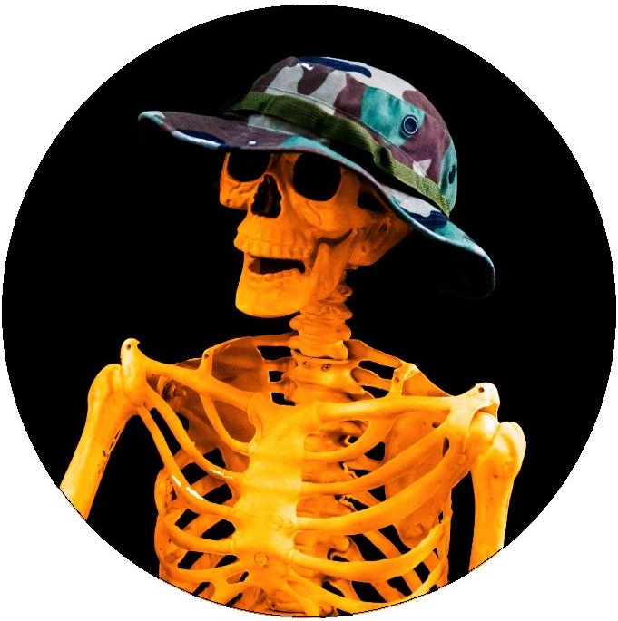 Skeleton Pinback Button and Stickers