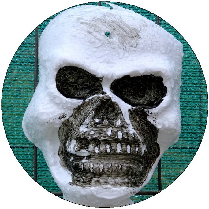 Skull and Skeleton Pinback Button and Stickers