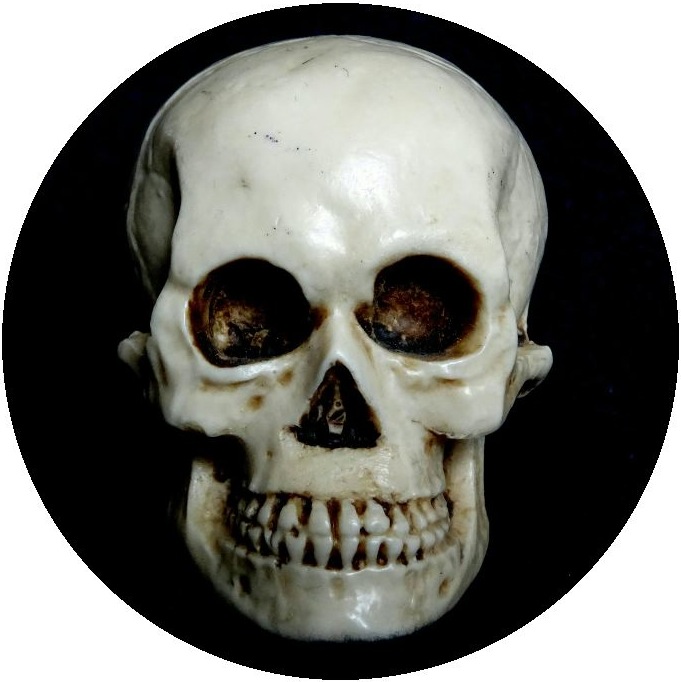 Skull and Skeleton Pinback Button and Stickers