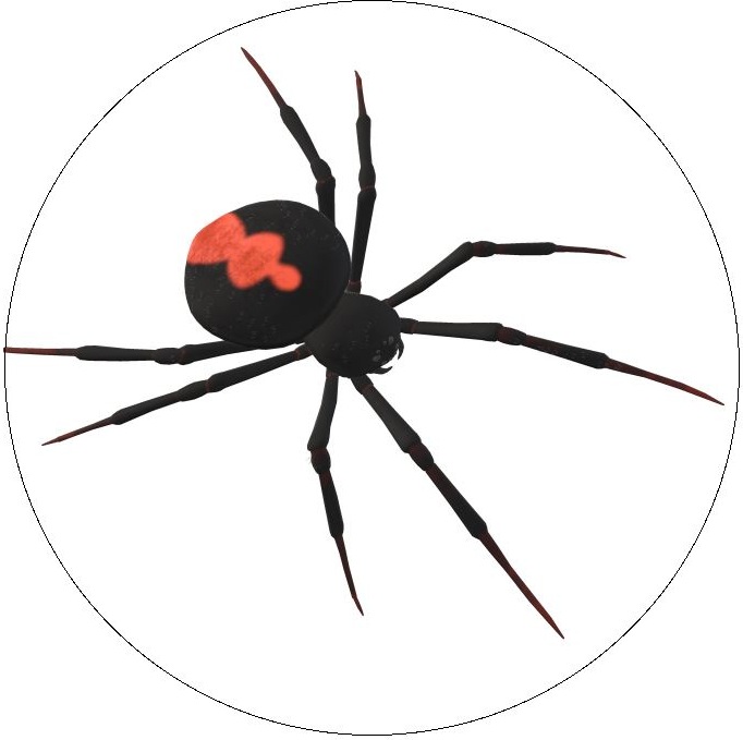 Spider Web Pinback Button and Stickers