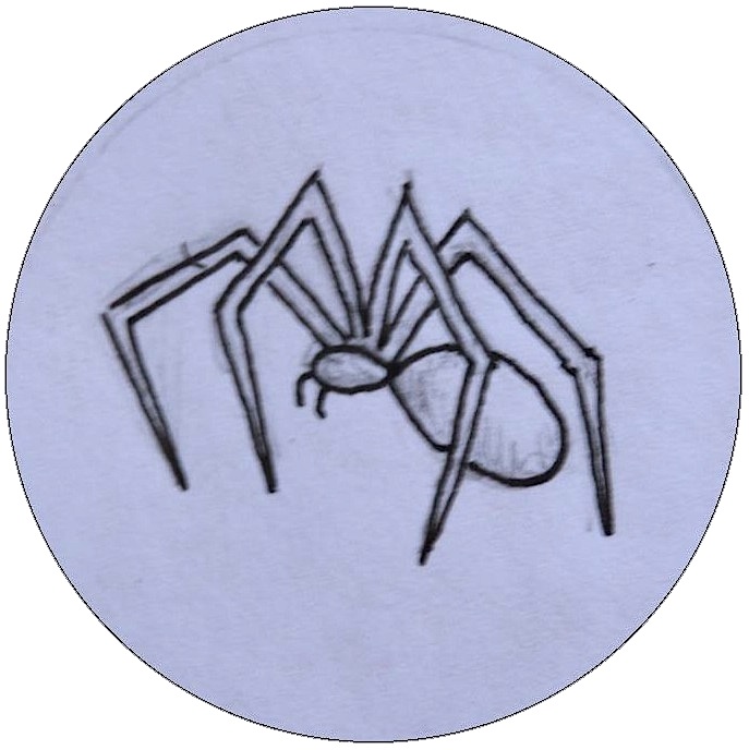 Hand drawn Spider Pinback Buttons