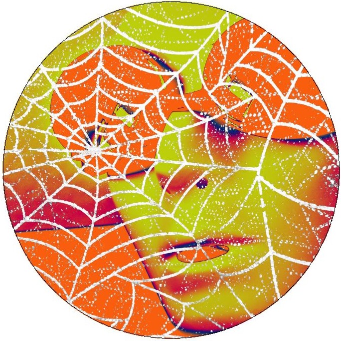 Spider Web Pinback Button and Stickers