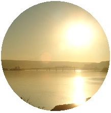 Sunset Pinback Buttons and Stickers