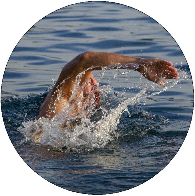 Swimming Pinback Button and Stickers