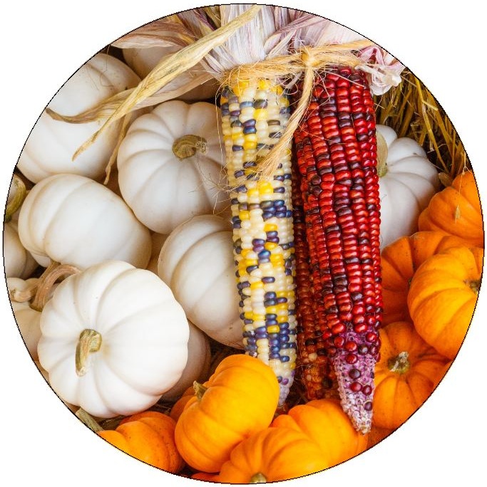 Indian Corn Harvest Pinback Buttons and Stickers