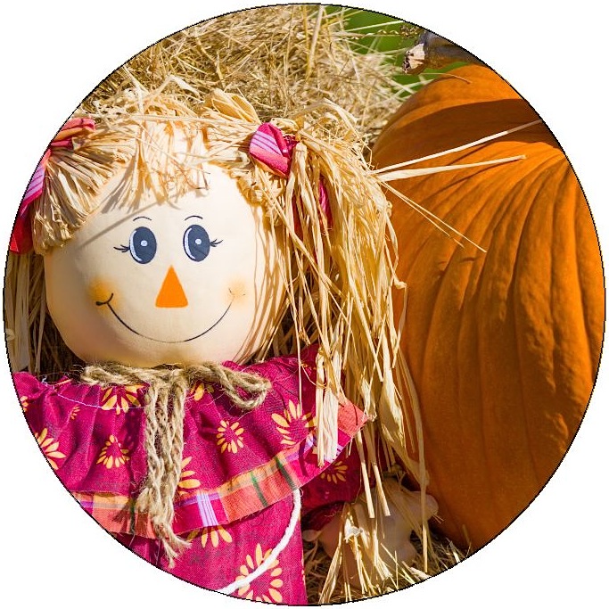 Scarecrow Pinback Buttons and Stickers