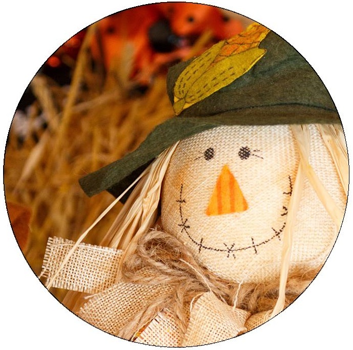 Thanksging Scarecrow Pinback Buttons and Stickers