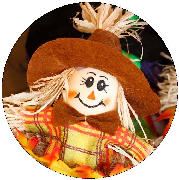 Thanksging Scarecrow Pinback Buttons and Stickers