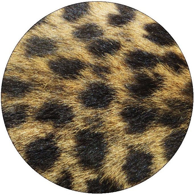 Leopard Skin Pinback Buttons and Stickers